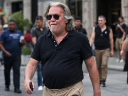 steve bannon net worth